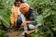 Practicing yoga for gardeners can also reduce inflammation and pain, making it easier to continue their work without discomfort. (Image via Pexels/Zen Chung)
